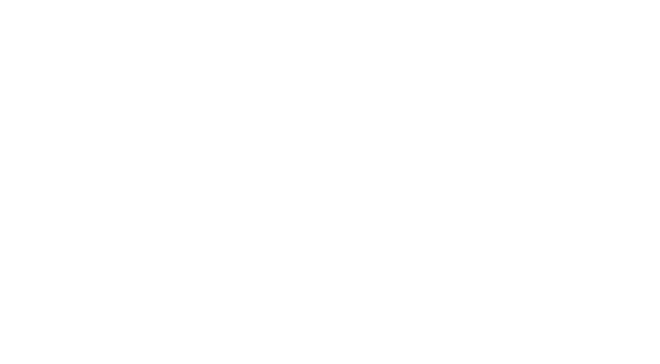 FUN FACTORY Logo